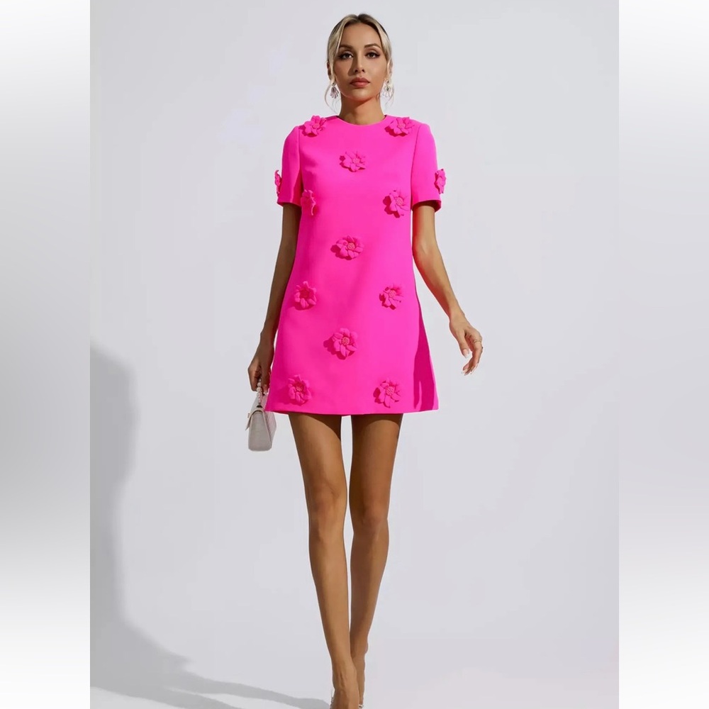 NWT Catchall Alison Pink Jacquard Floral Mini Dress - L - Picture 2 of 7